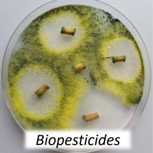 Biopesticides