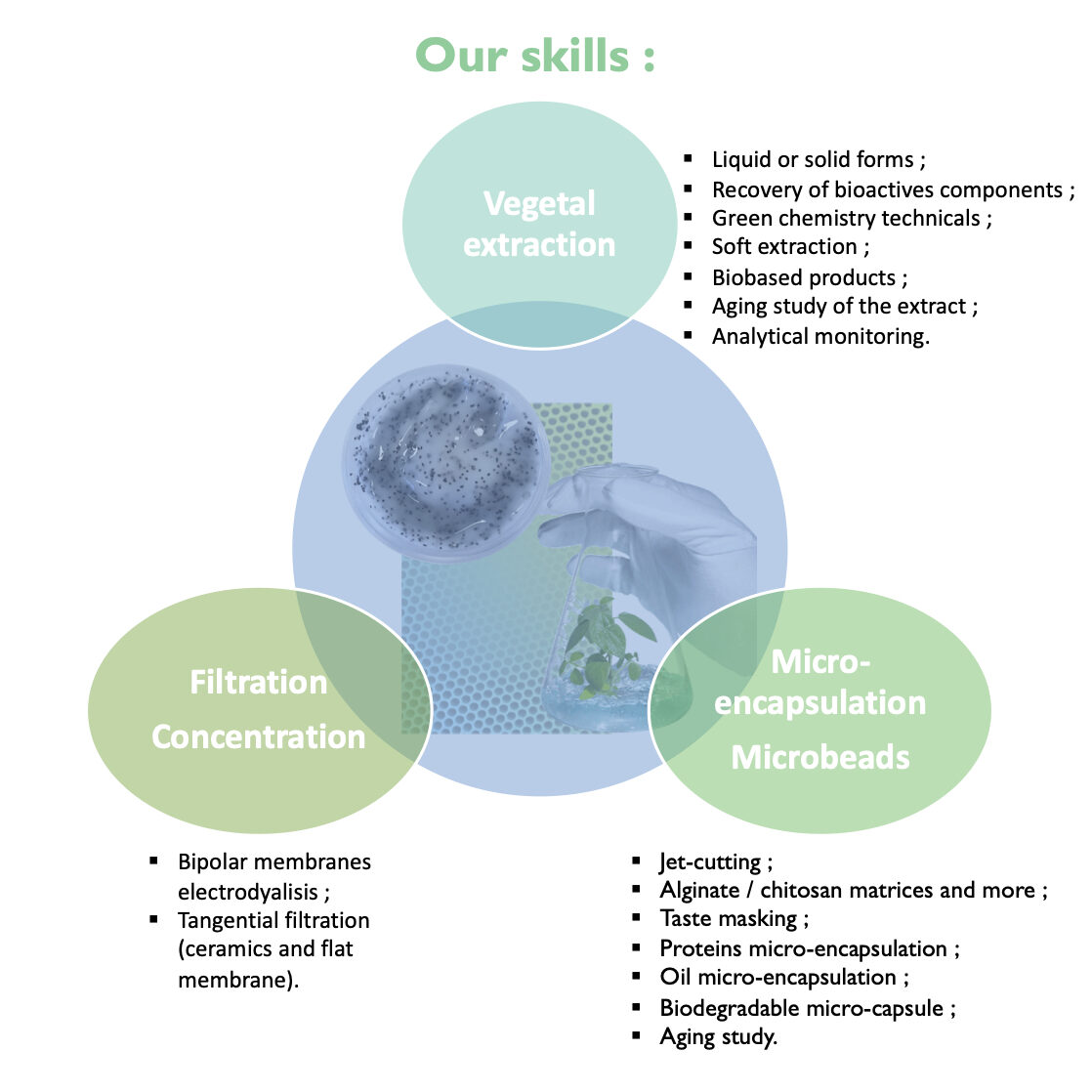 Compétences du pôle biotechnologie du CeREF Technique